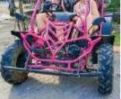 Elephant Feeding + Buggy