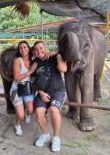 Elephant Feeding + Buggy