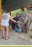 Elephant Feeding + ATV