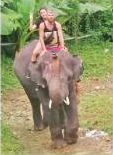 Seaview Elephant Care + ATV