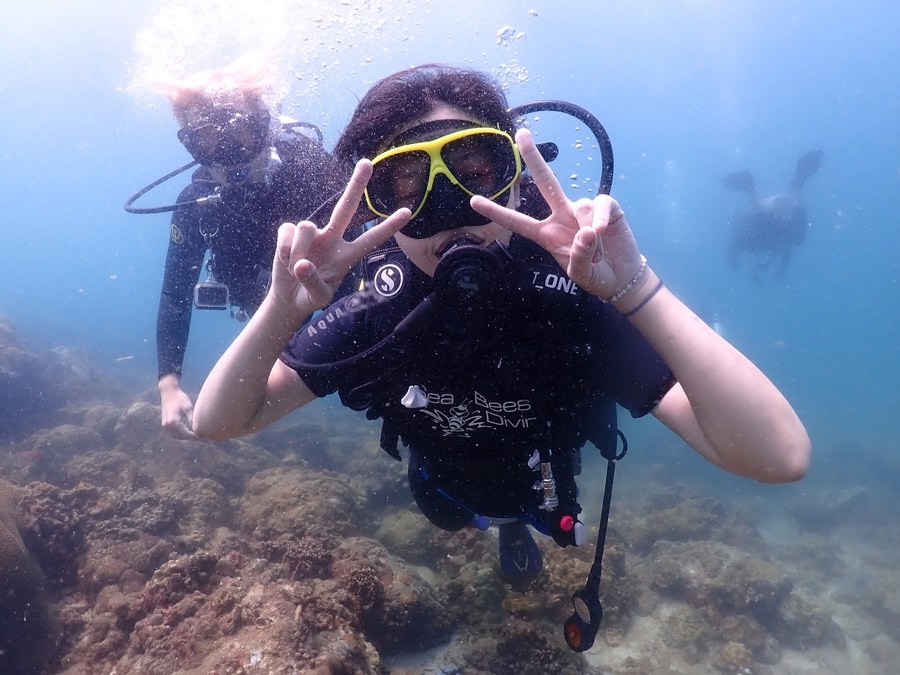 Divers giving the peace sign underwater
