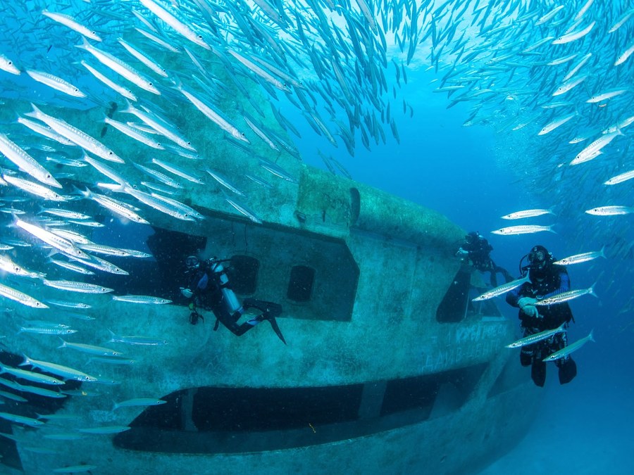 Divers exploring a sunken wreck with a huge school of yellow-striped fish