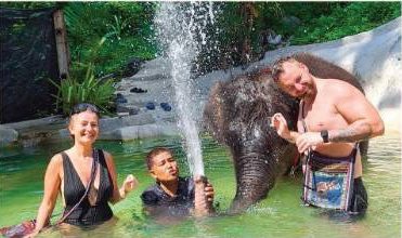 Elephant Bathing & Care