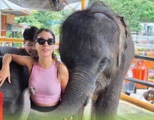 Elephant Nature & Care