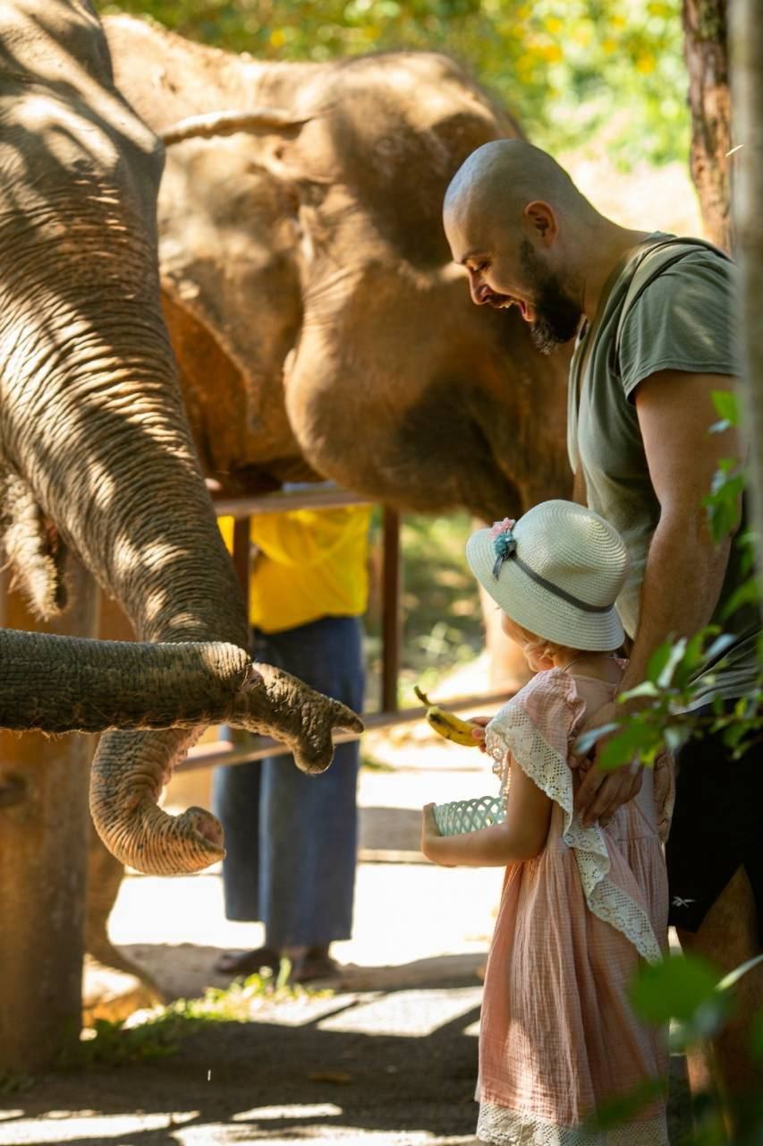 Walk & Feed program, Bukit Elephant Park