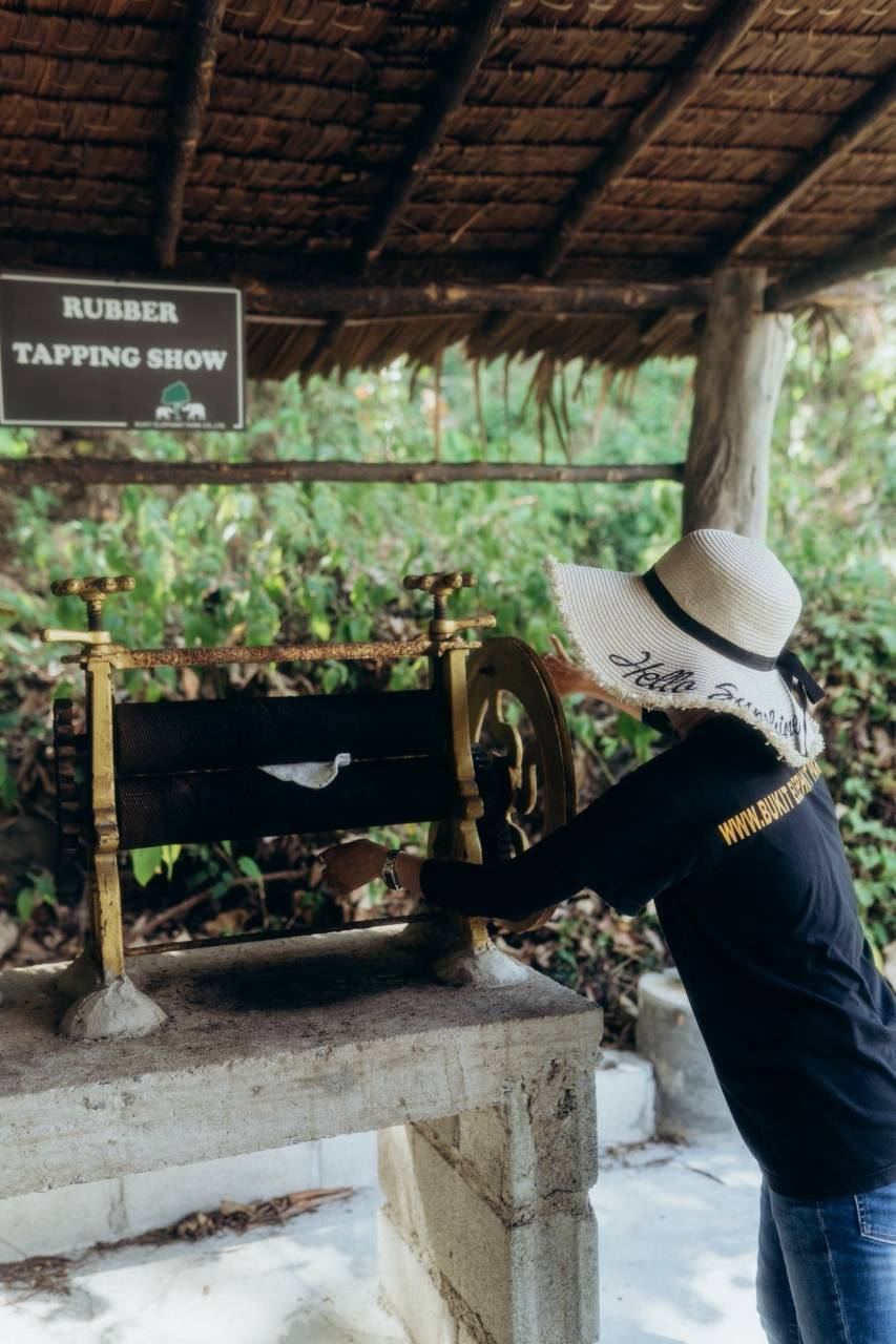 Mini Elephant Nature program, Bukit Elephant Park