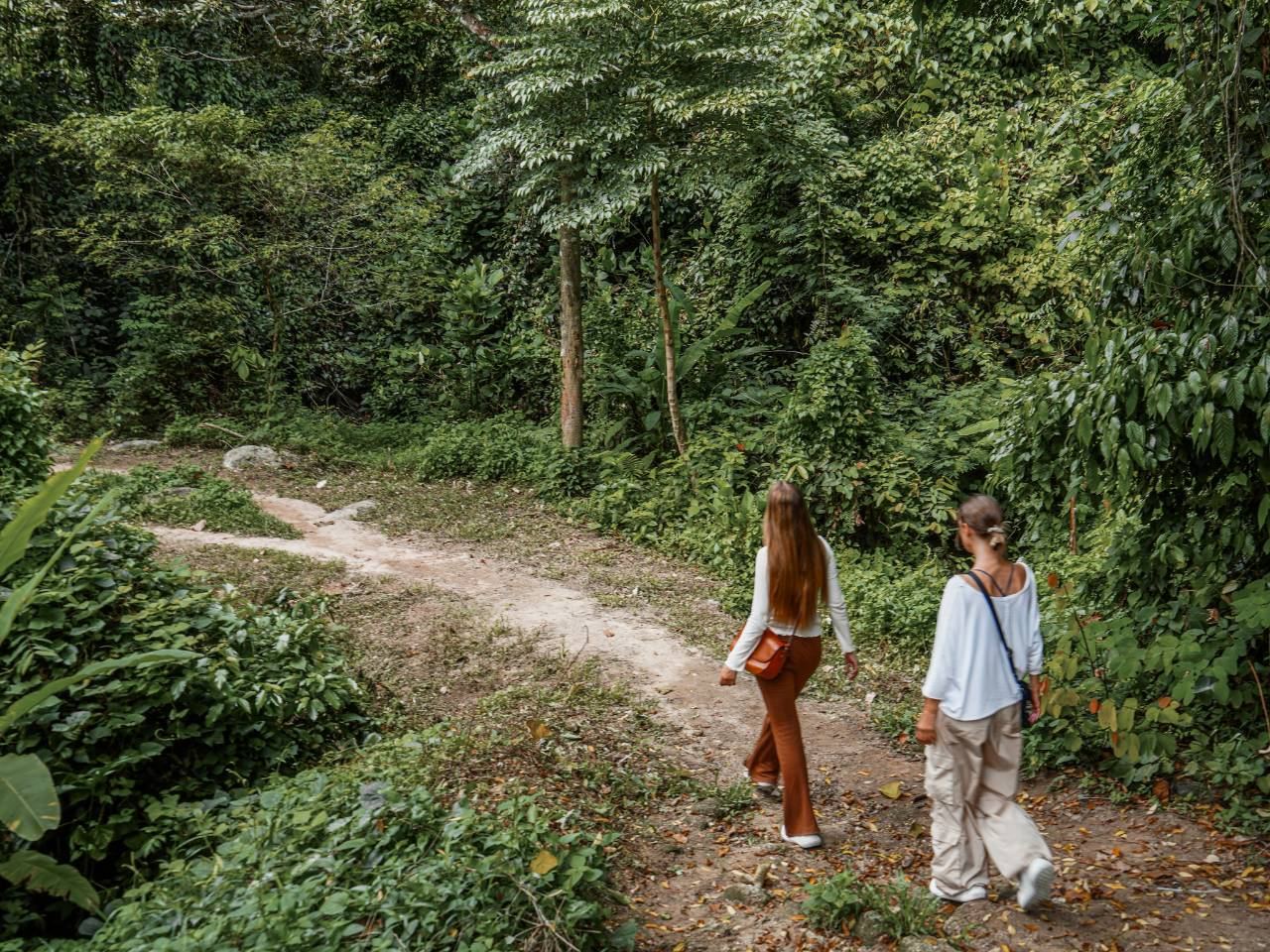 Bukit Elephant Park, Phuket