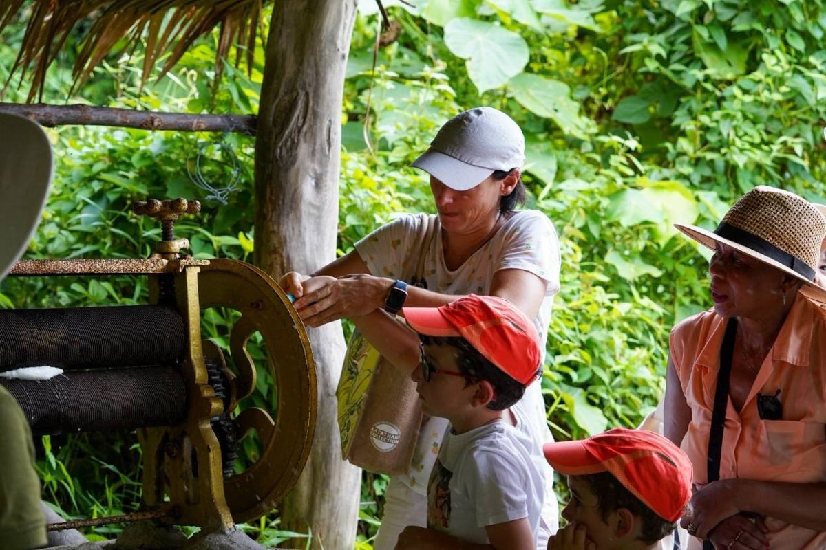 Elephant Nature program, Bukit Elephant Park