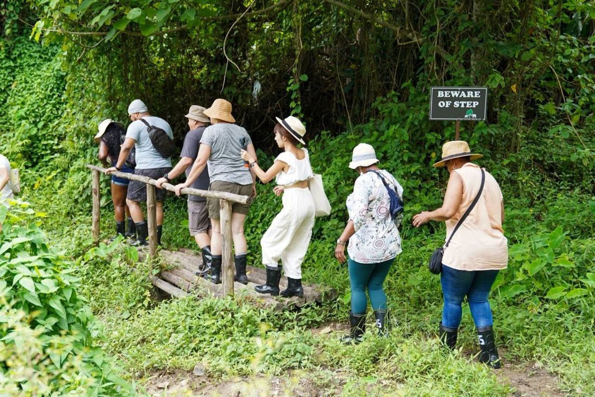 Elephant Nature program, Bukit Elephant Park