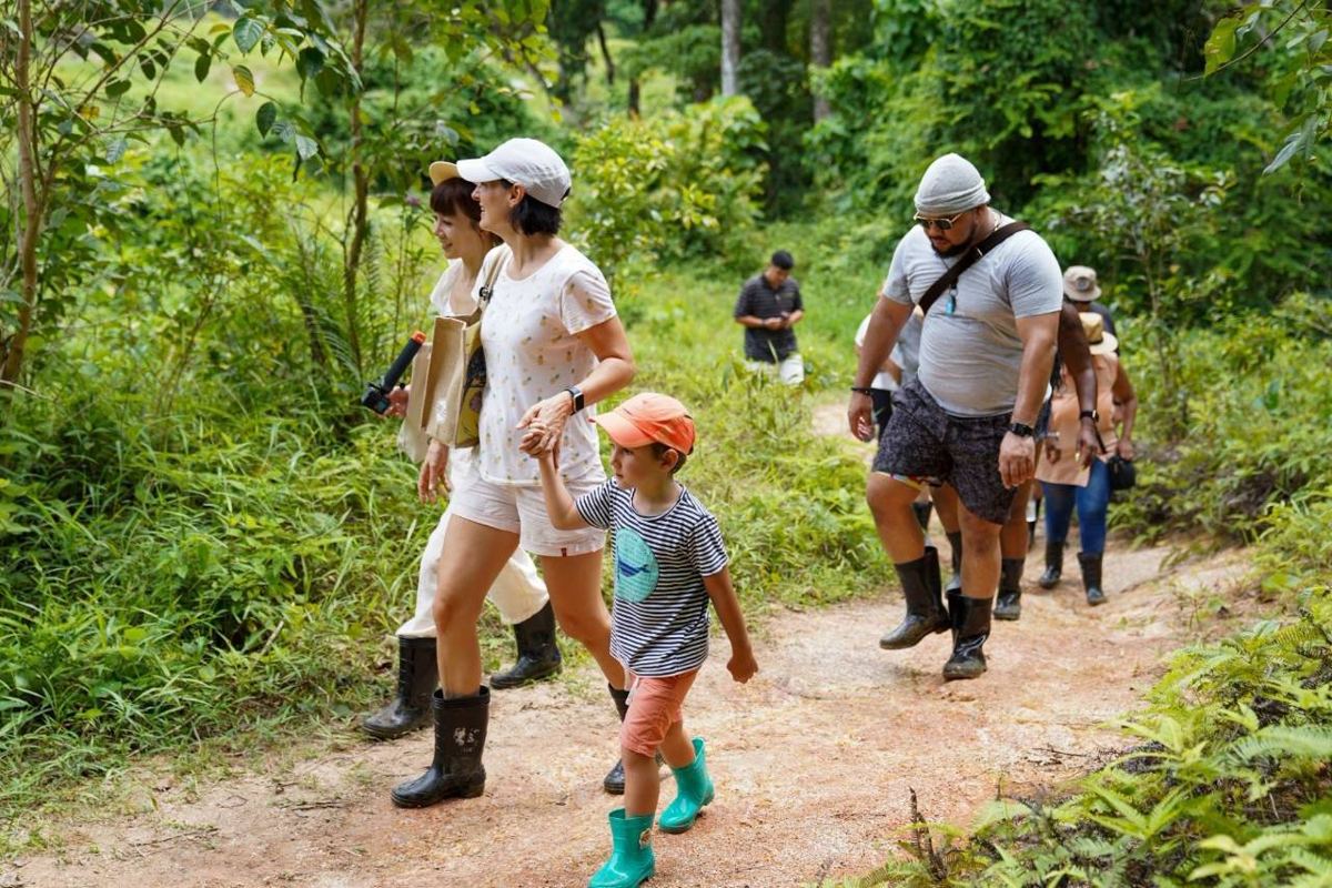 Elephant Nature program, Bukit Elephant Park