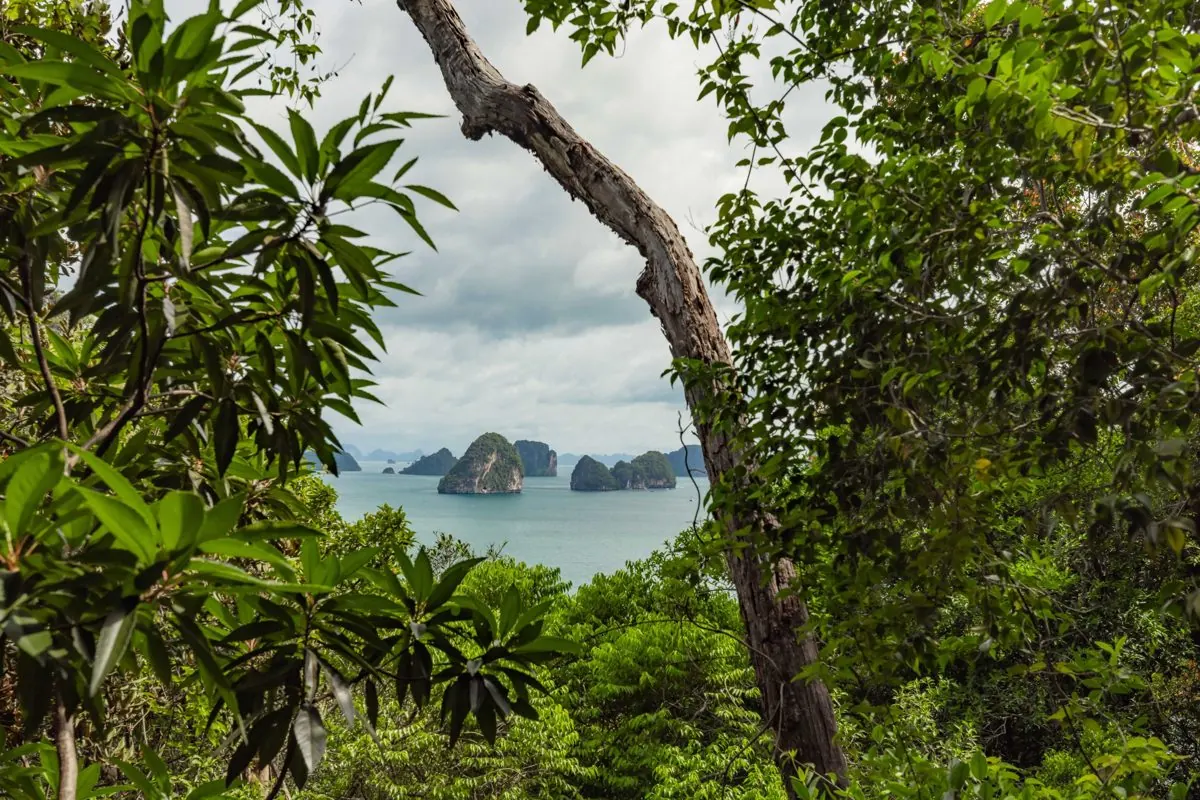 Islands seen through the trees from Hong Island, Krabi