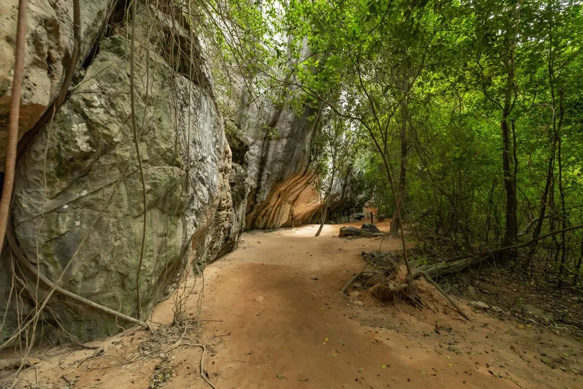 Лесная тропа под скалами, остров Хонг, Краби