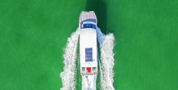 Lexi from above