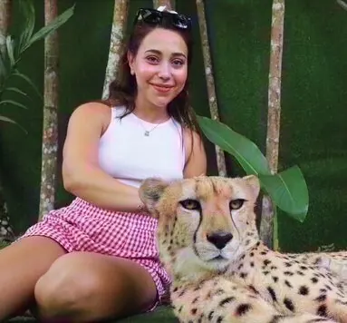 Cheetah at Tiger Park Phuket