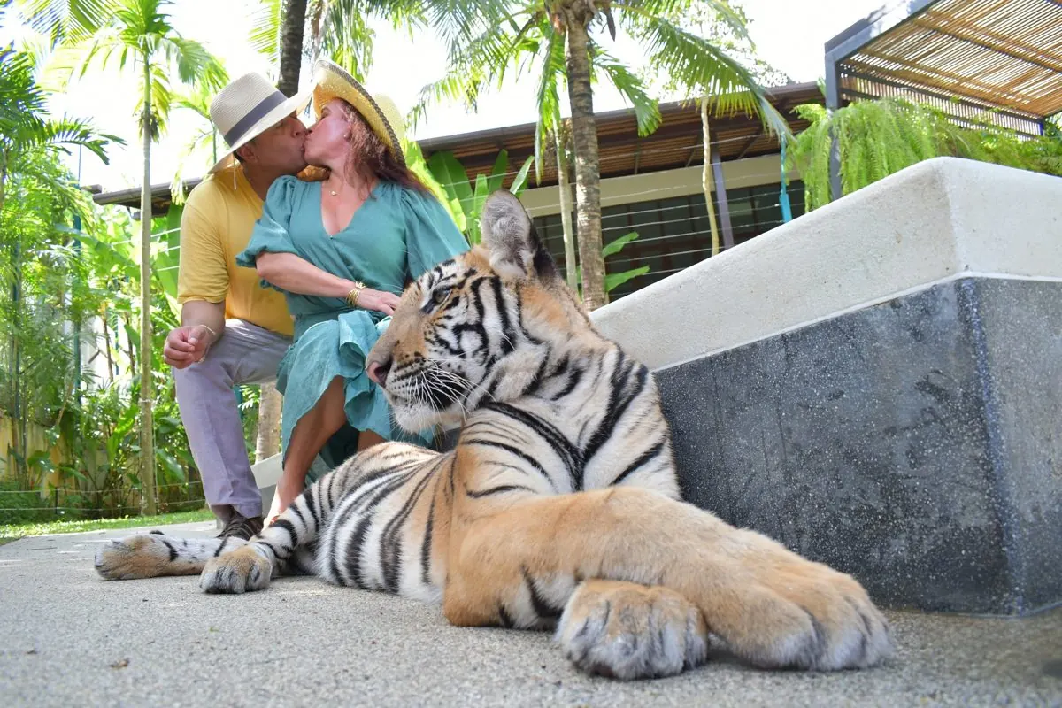 Couple with a young tiger