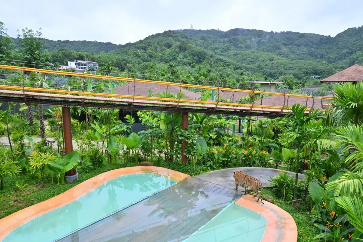 Tiger pool with the Big Buddha on the hill