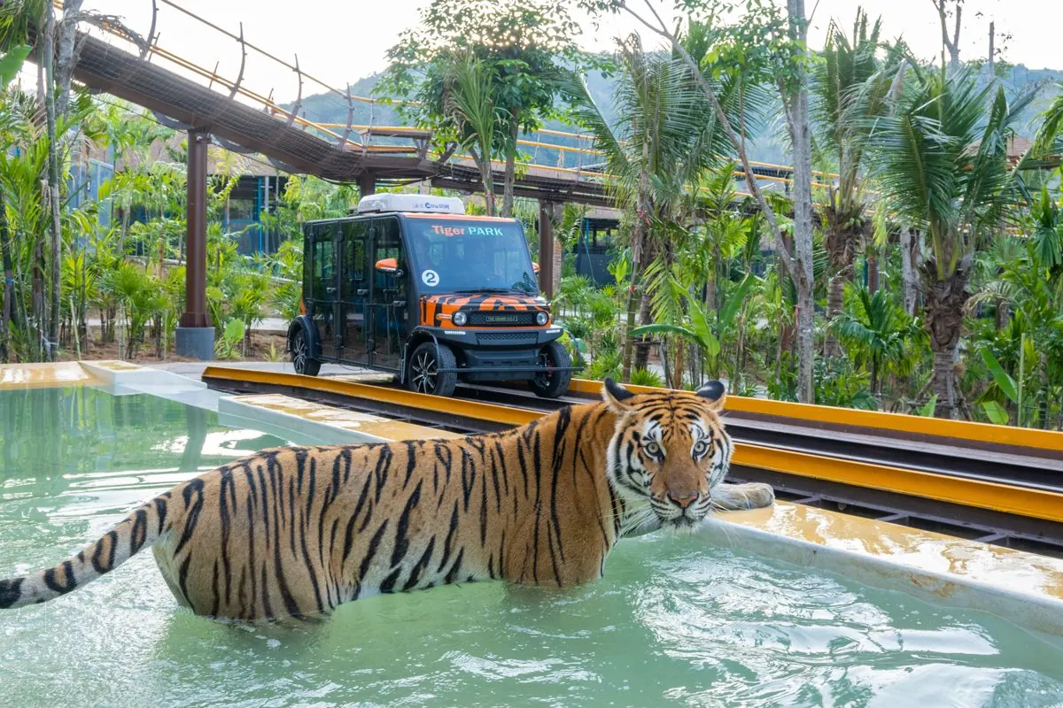 Tiger Park Phuket
