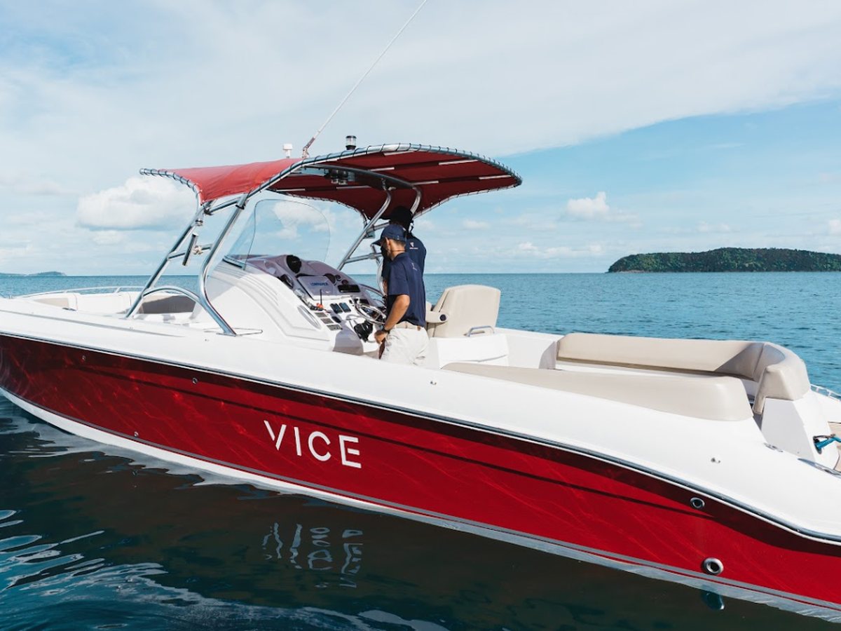 Спорт-круизер VICE