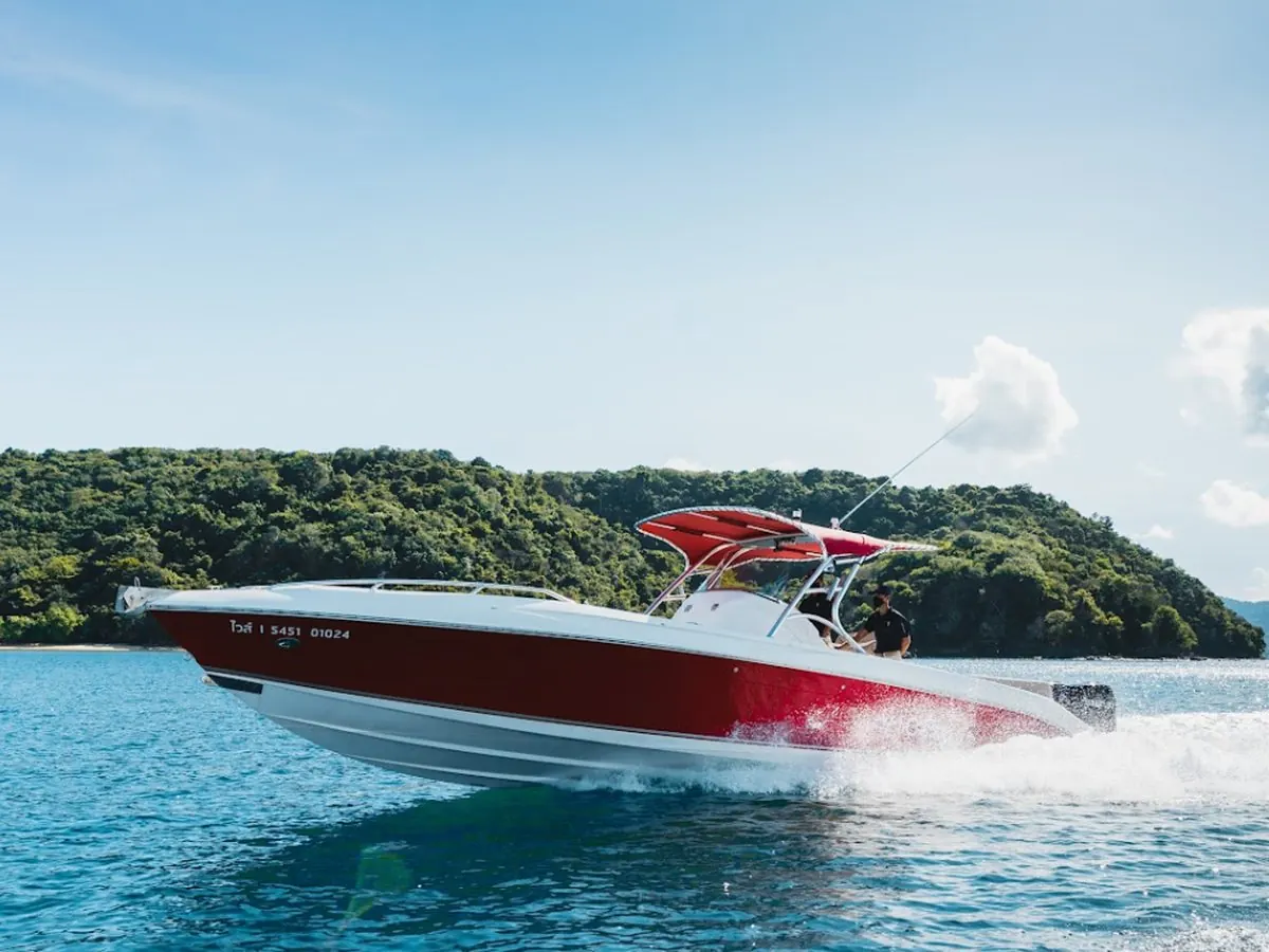 VICE sport cruiser, photo 2