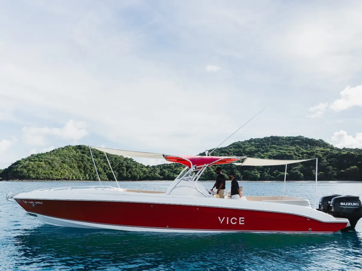 VICE sport cruiser, photo 3